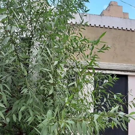 Apartment новая