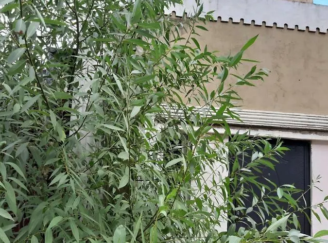 Apartment новая